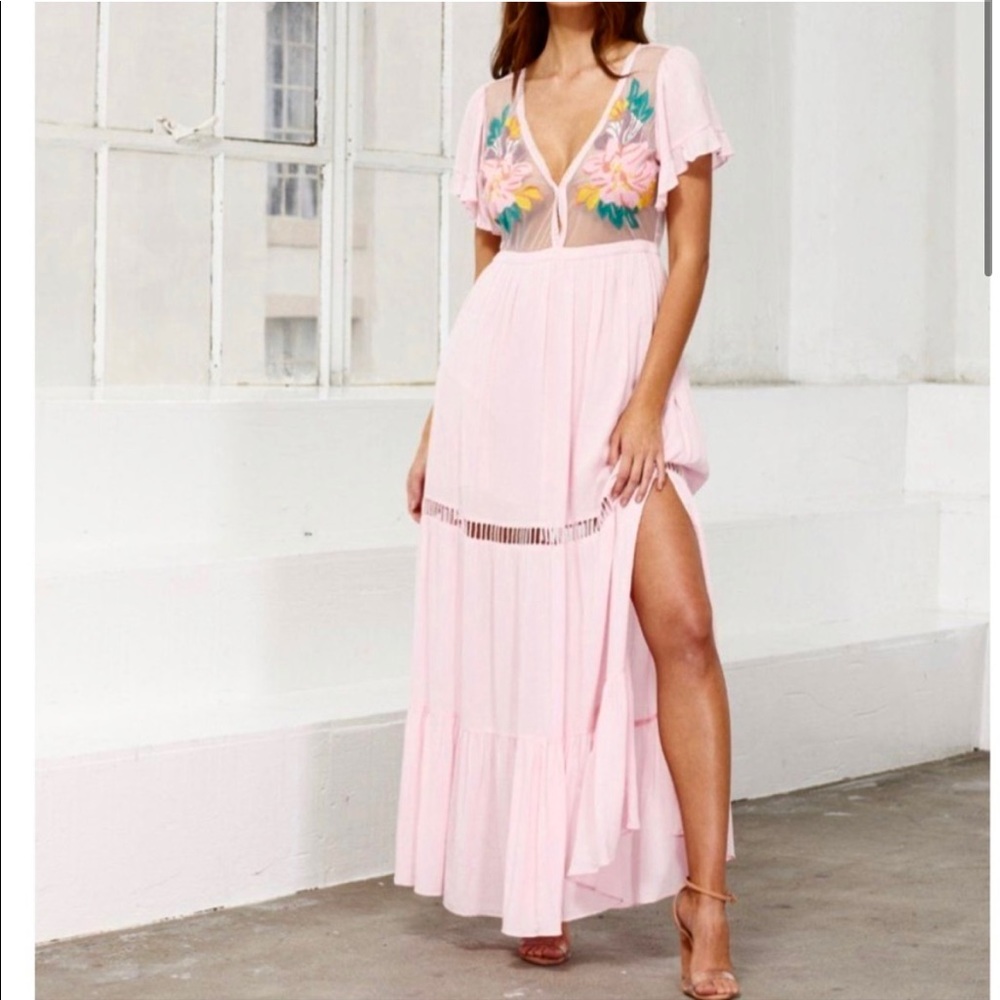 NWT Cleobella Amery Maxi Dress Pink Sheer